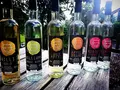 Obst- und Ferienhof Katzenmaier in Friedrichshafen - Ailingen Obst- und Ferienhof Katzenmaier in Friedrichshafen - Ailingen